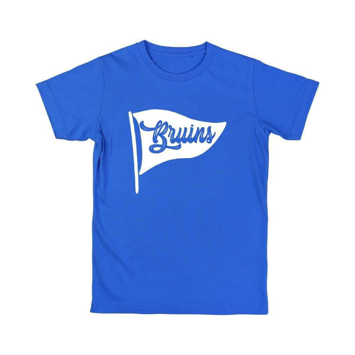 Bruins Pennant Flag
