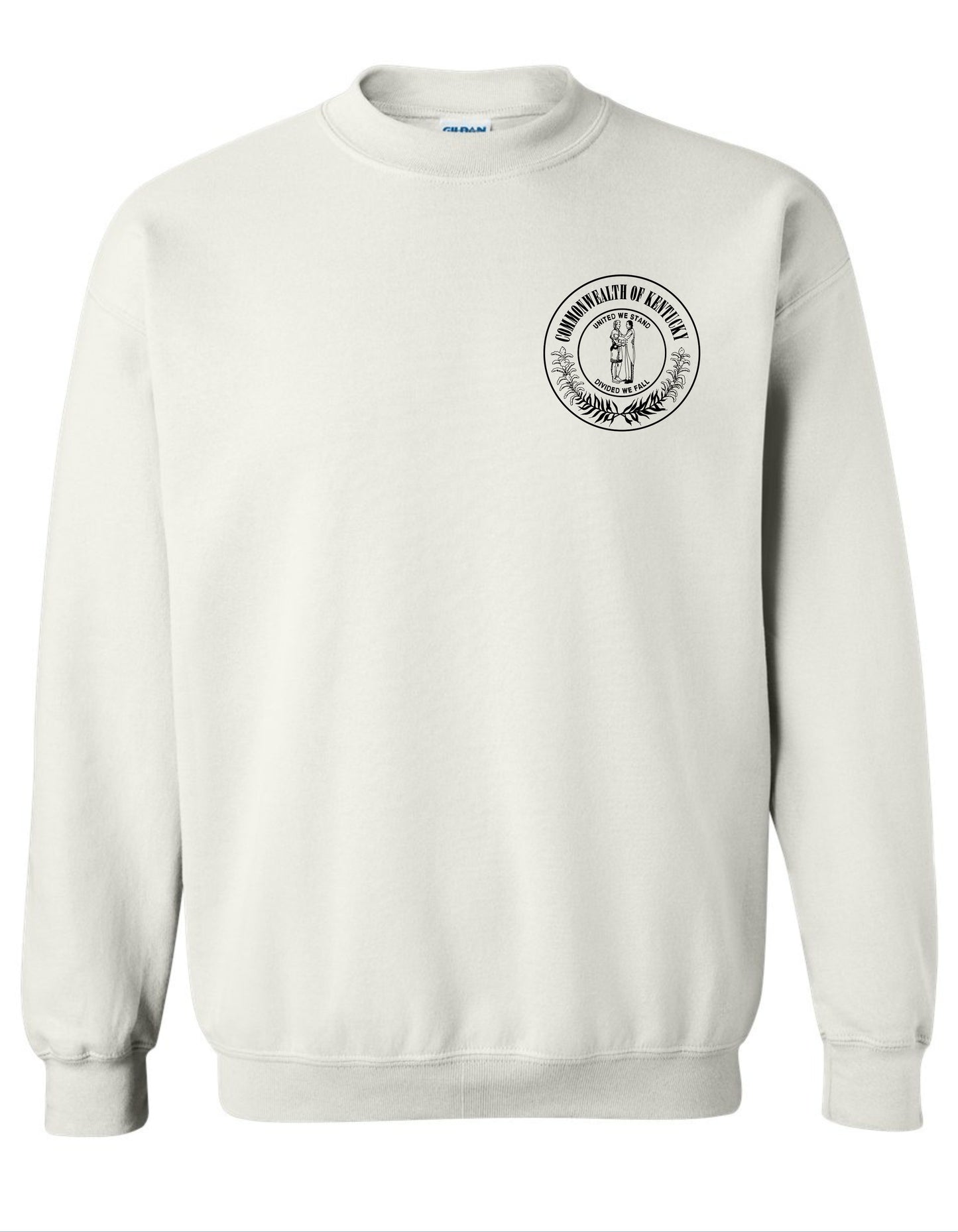 DCBS  2025 Design 2