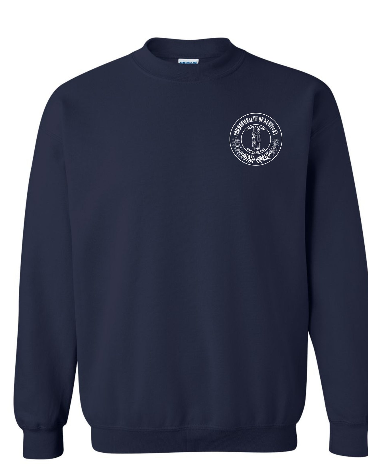 DCBS  2025 Design 2
